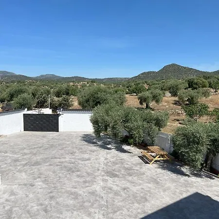 El Gallinero