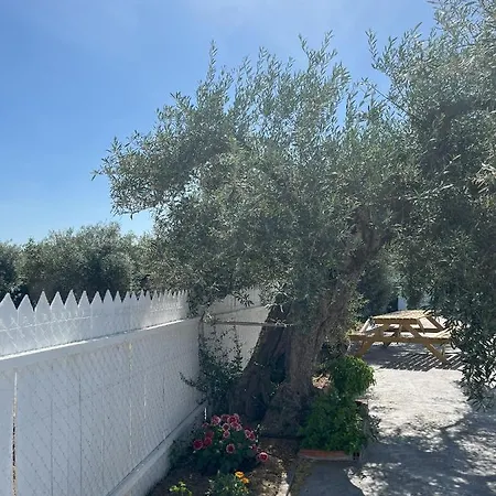 El Gallinero *
